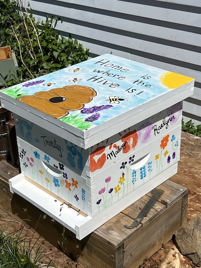 Trinity's decorated hive