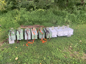 a picture of 10 nuc boxes sitting side by side in the grass